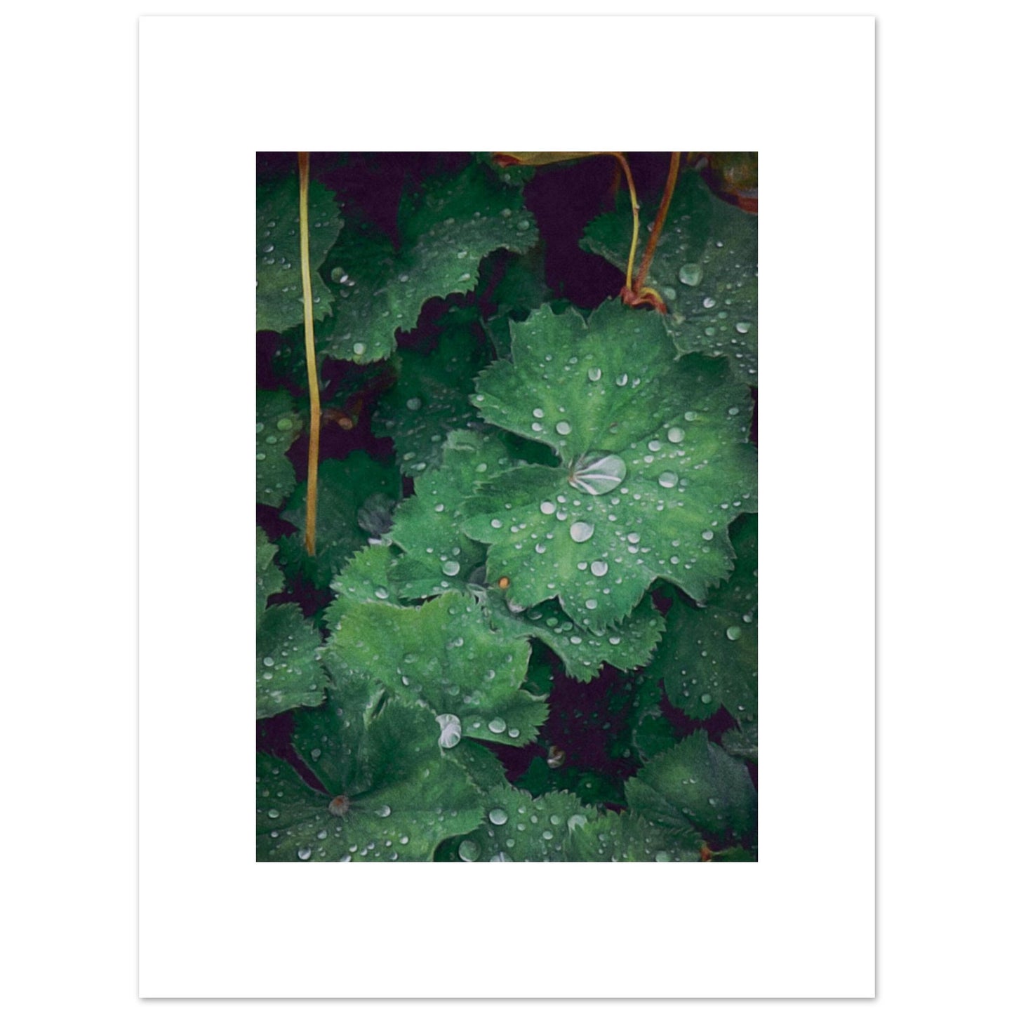 e574fe6b-f50c-48c6-97d9-697815c2d7fd