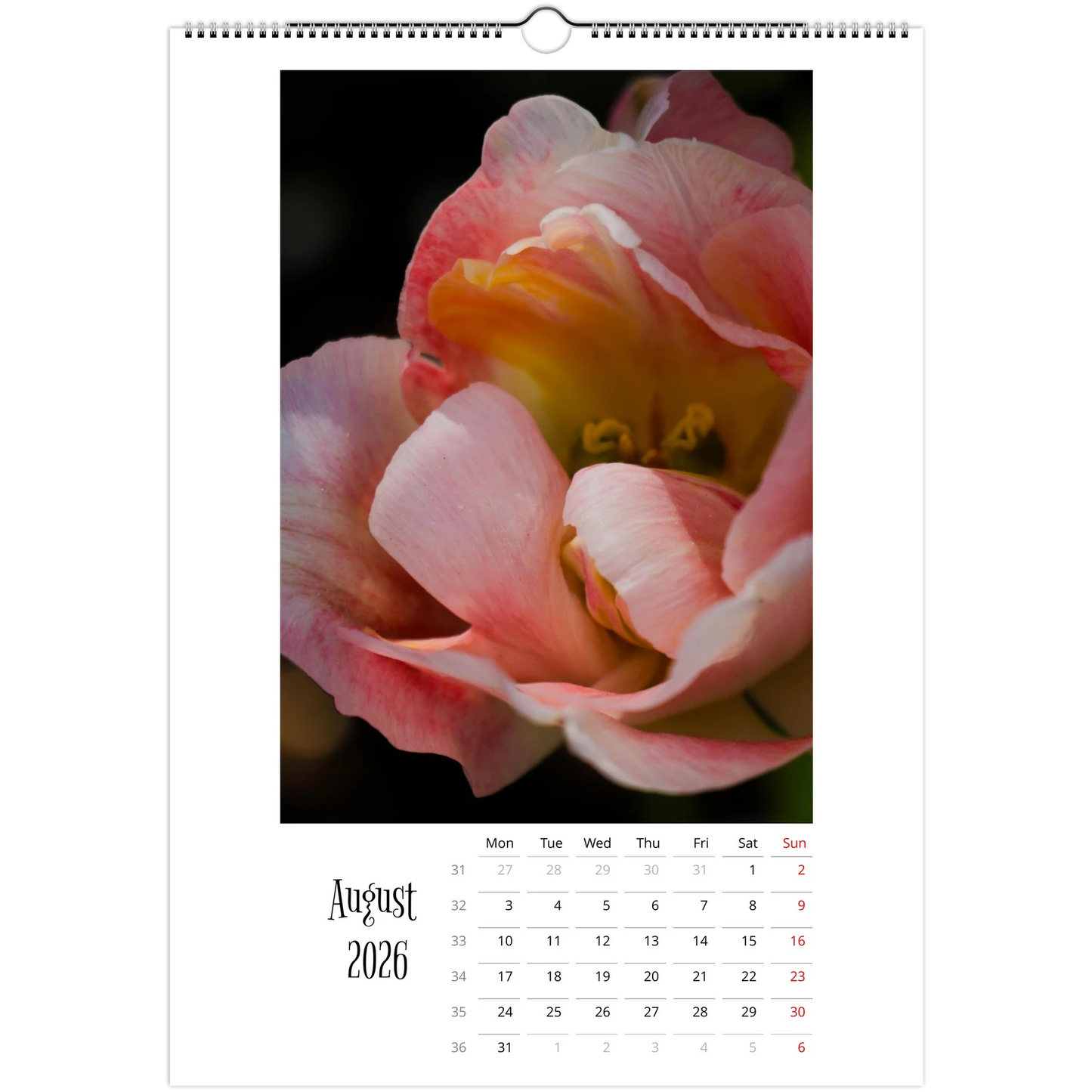 e8844670-8d1b-422f-8d6a-2af29186c33e