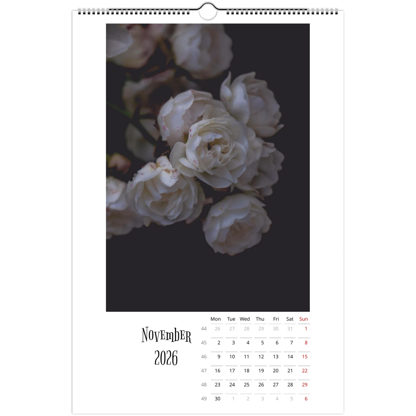 eb8bde5c-6fd6-4c3d-88ae-003b38a520bd