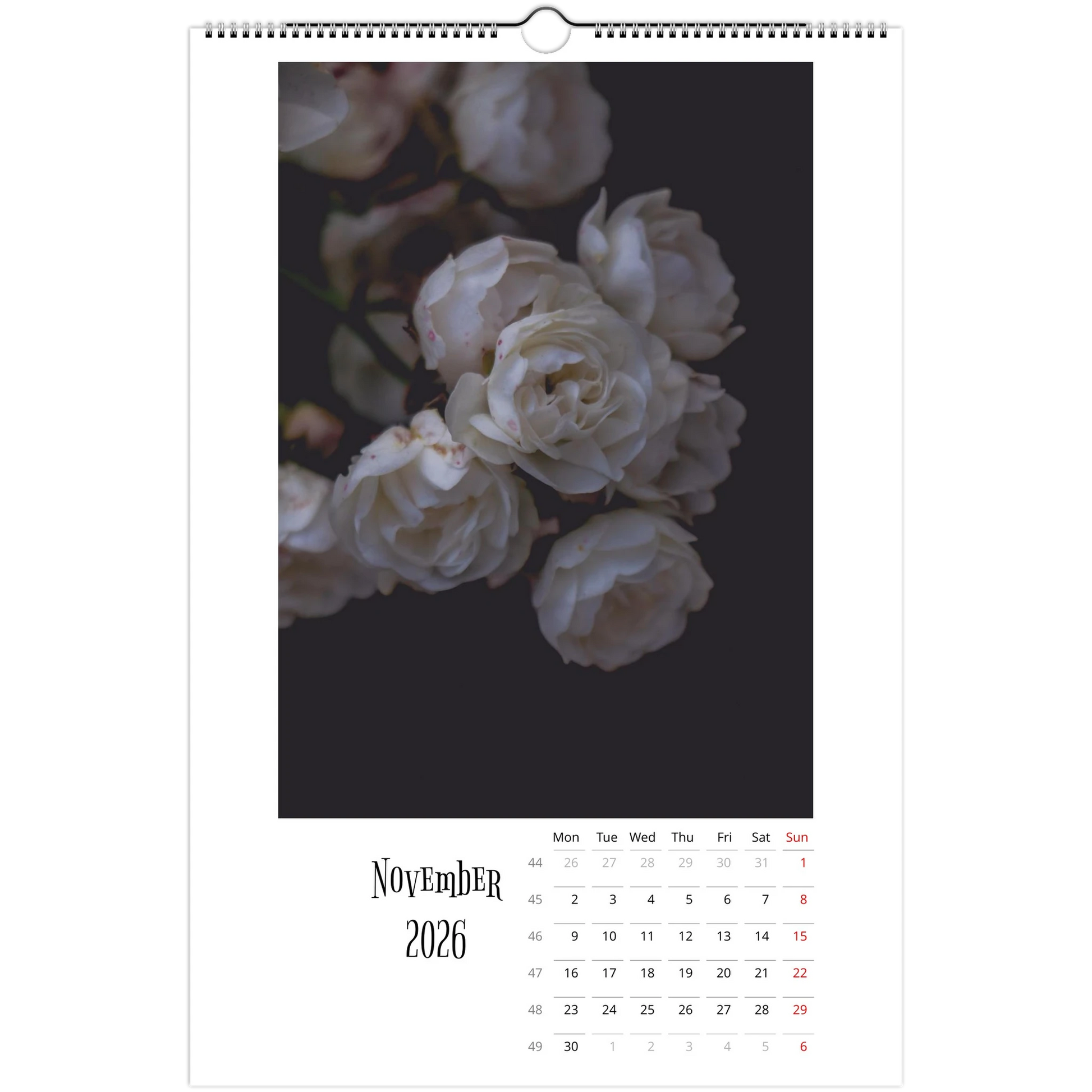 eb8bde5c-6fd6-4c3d-88ae-003b38a520bd