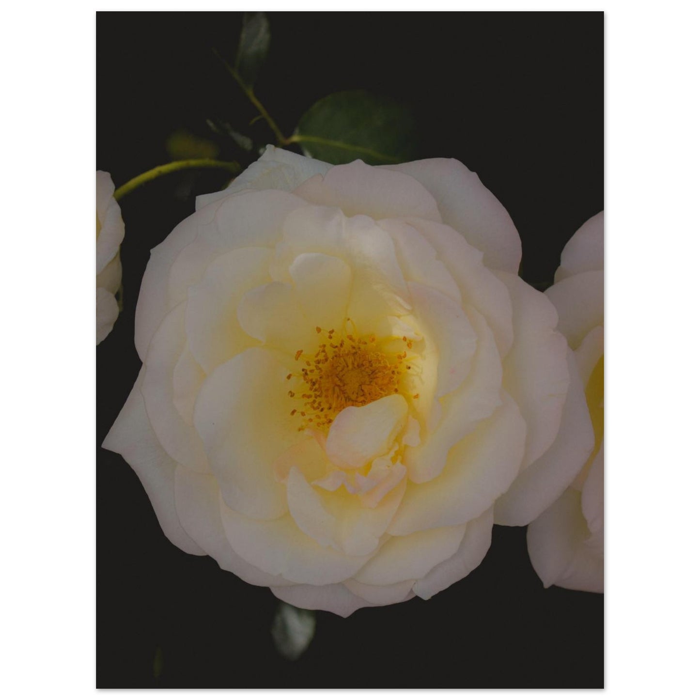 edf02f95-ee6f-41fb-94f6-da761ccd5d99