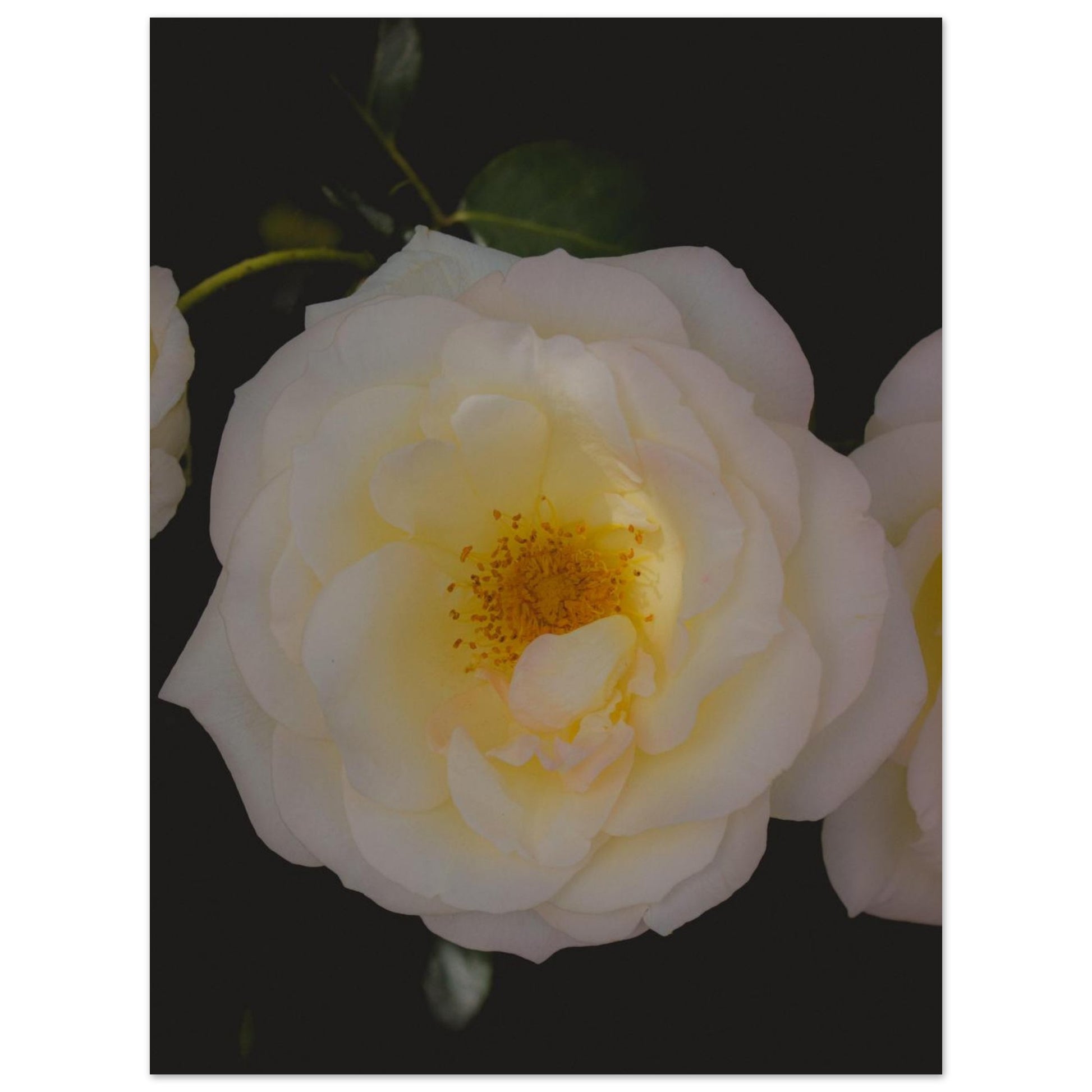 edf02f95-ee6f-41fb-94f6-da761ccd5d99