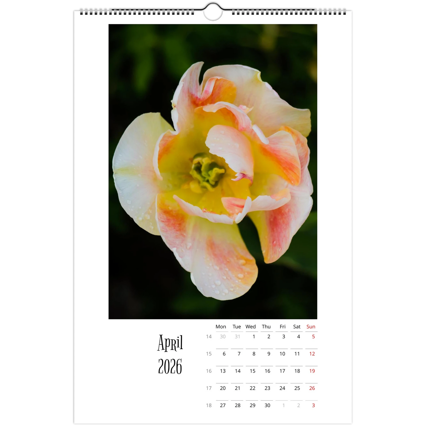 f1206932-1484-4cc7-bf0e-75e355da68e2