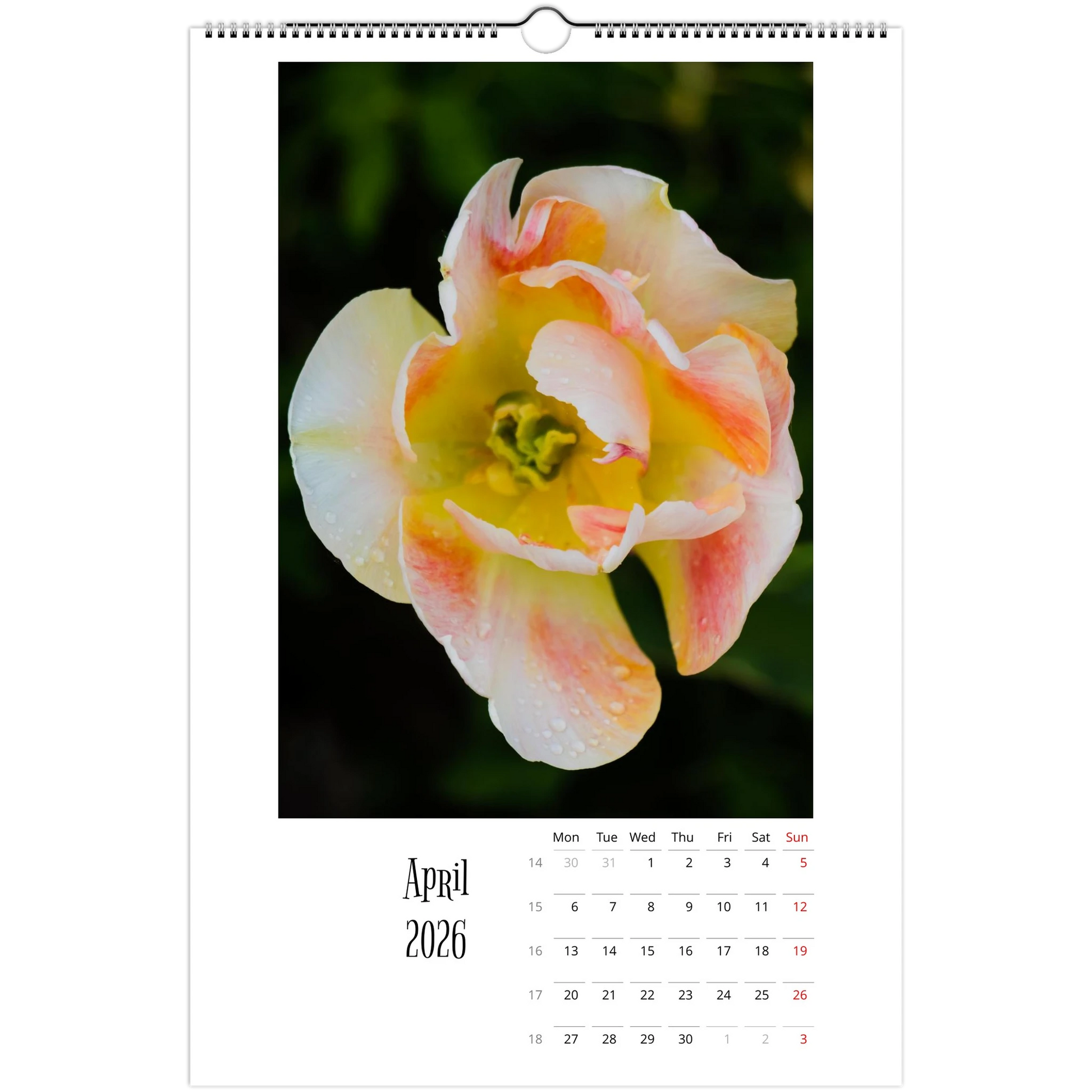 f1206932-1484-4cc7-bf0e-75e355da68e2