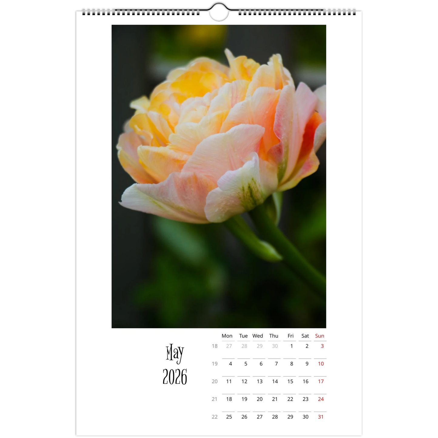 f39e2174-3153-4209-b84b-7af565792b21