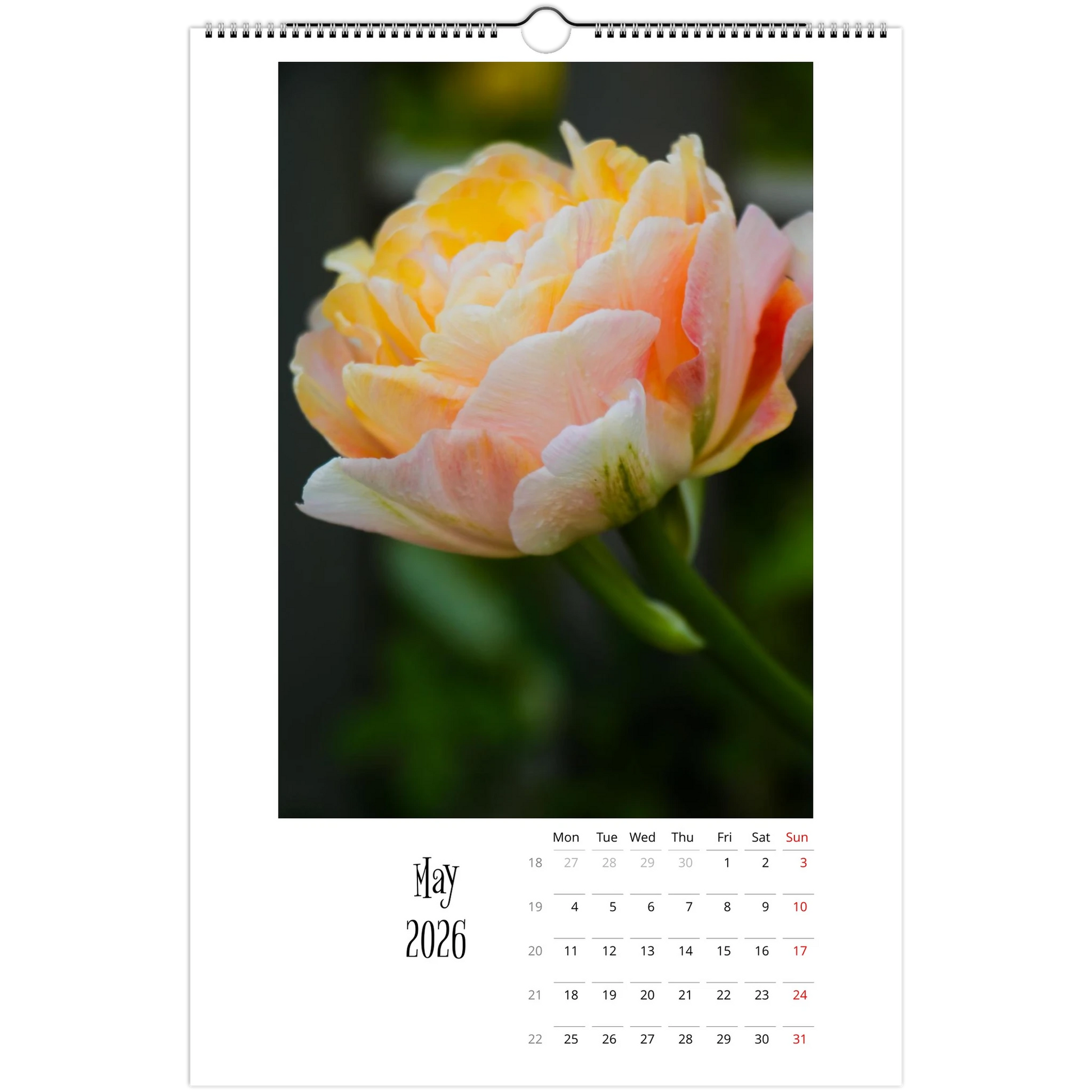 f39e2174-3153-4209-b84b-7af565792b21