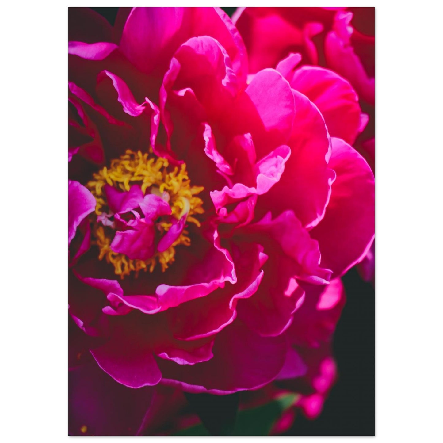 f6d9a272-3e15-4f22-aaad-27b2732e9c61