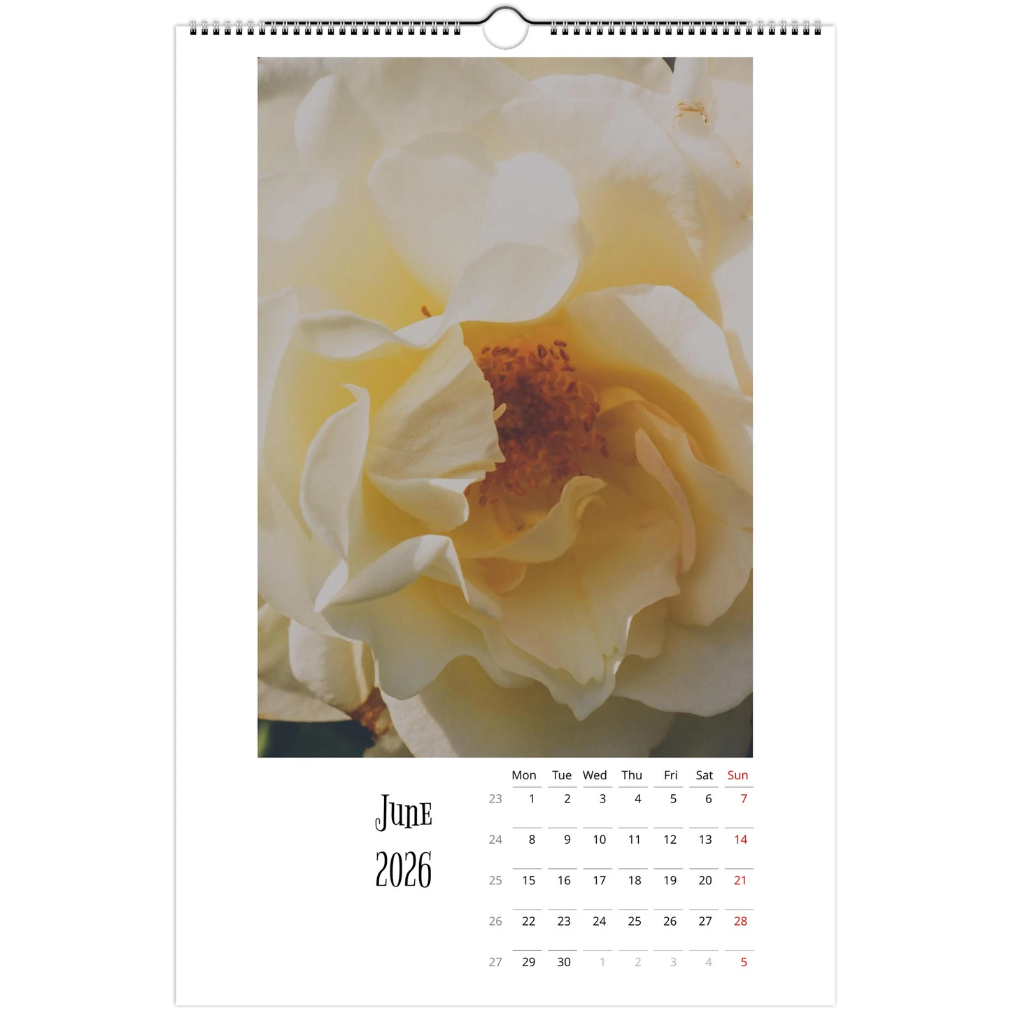 f709668f-926c-43eb-8cbe-480d1fa13cd7