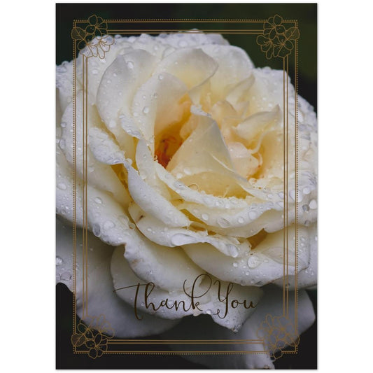 fa60bd55-d8e5-4245-a2d9-e976c9cf3b32