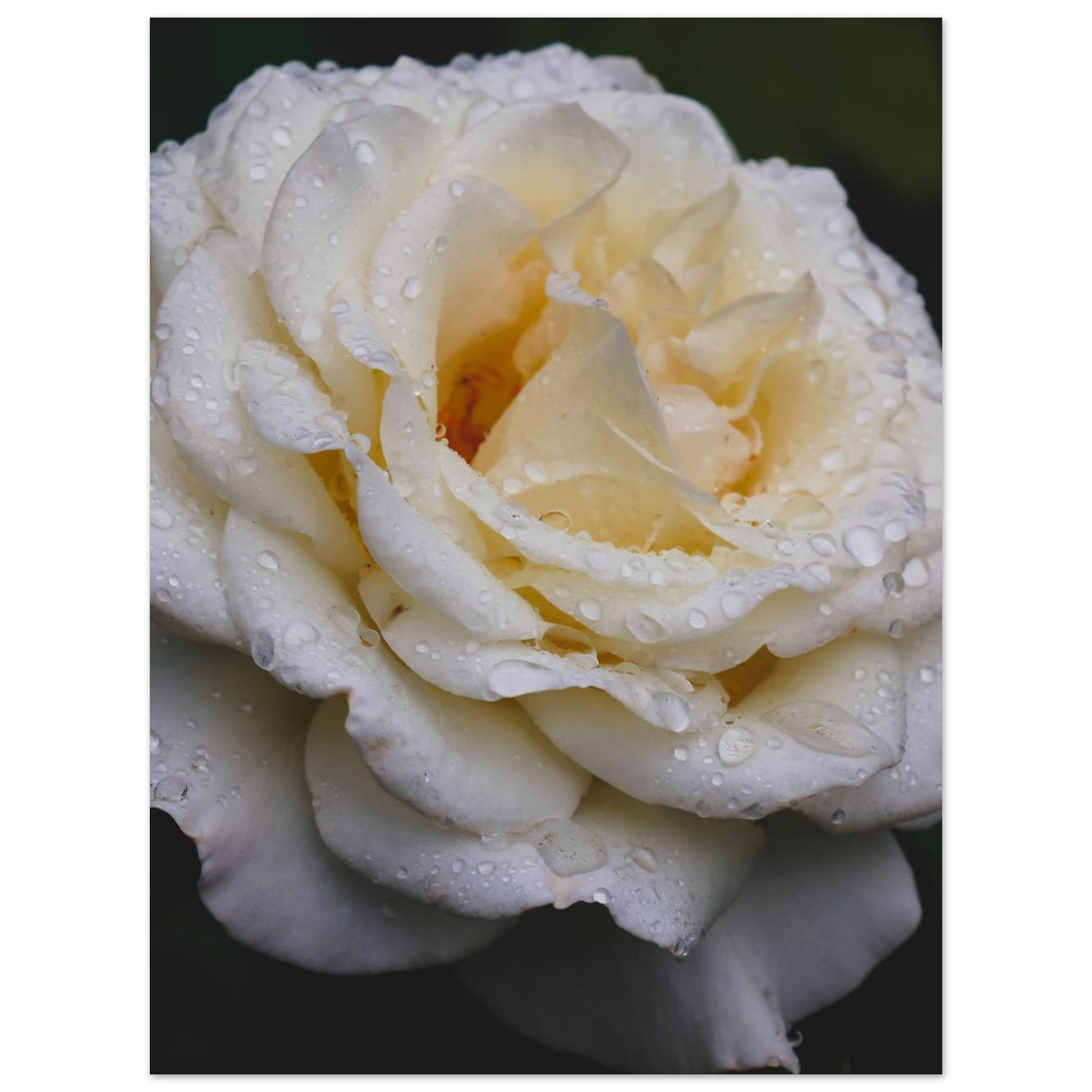 fbecd365-f8a5-467c-9ab5-9df2eccc6c75