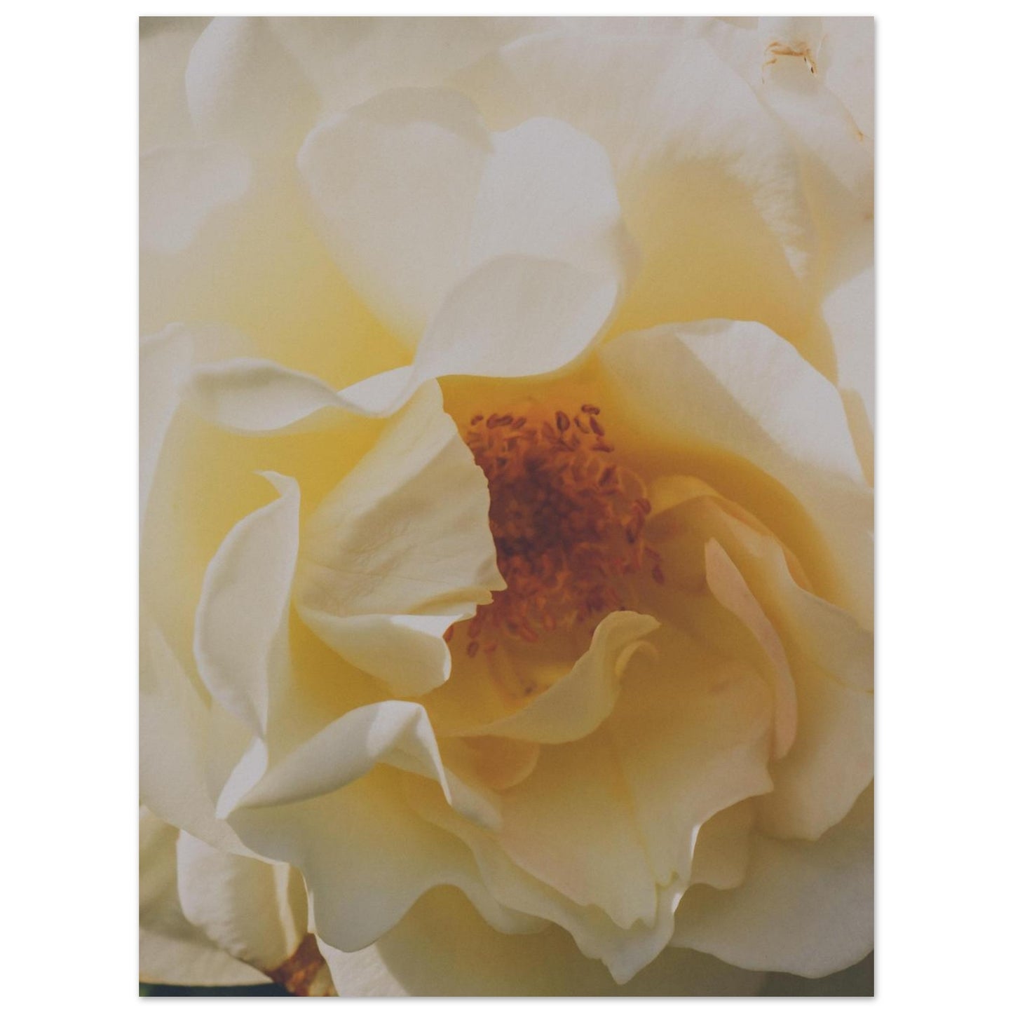 fecb359b-2bf9-4fbd-a105-430841c0e2c4