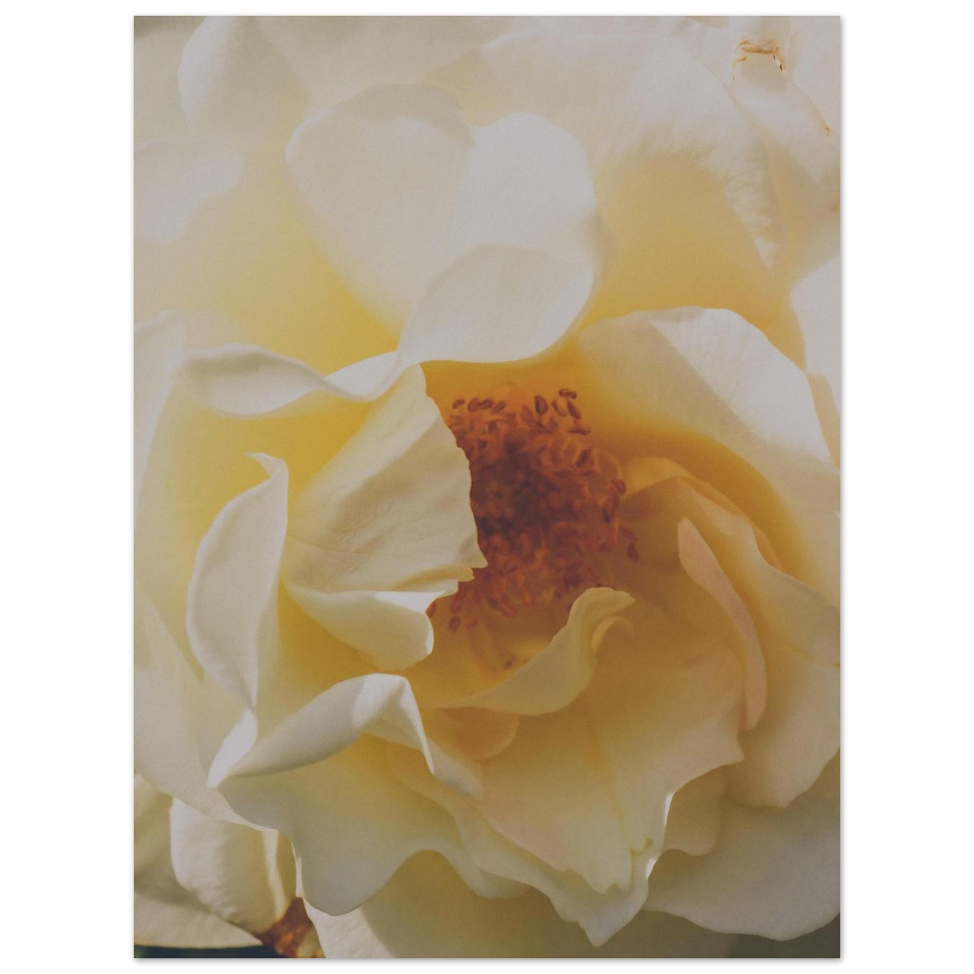 fecb359b-2bf9-4fbd-a105-430841c0e2c4