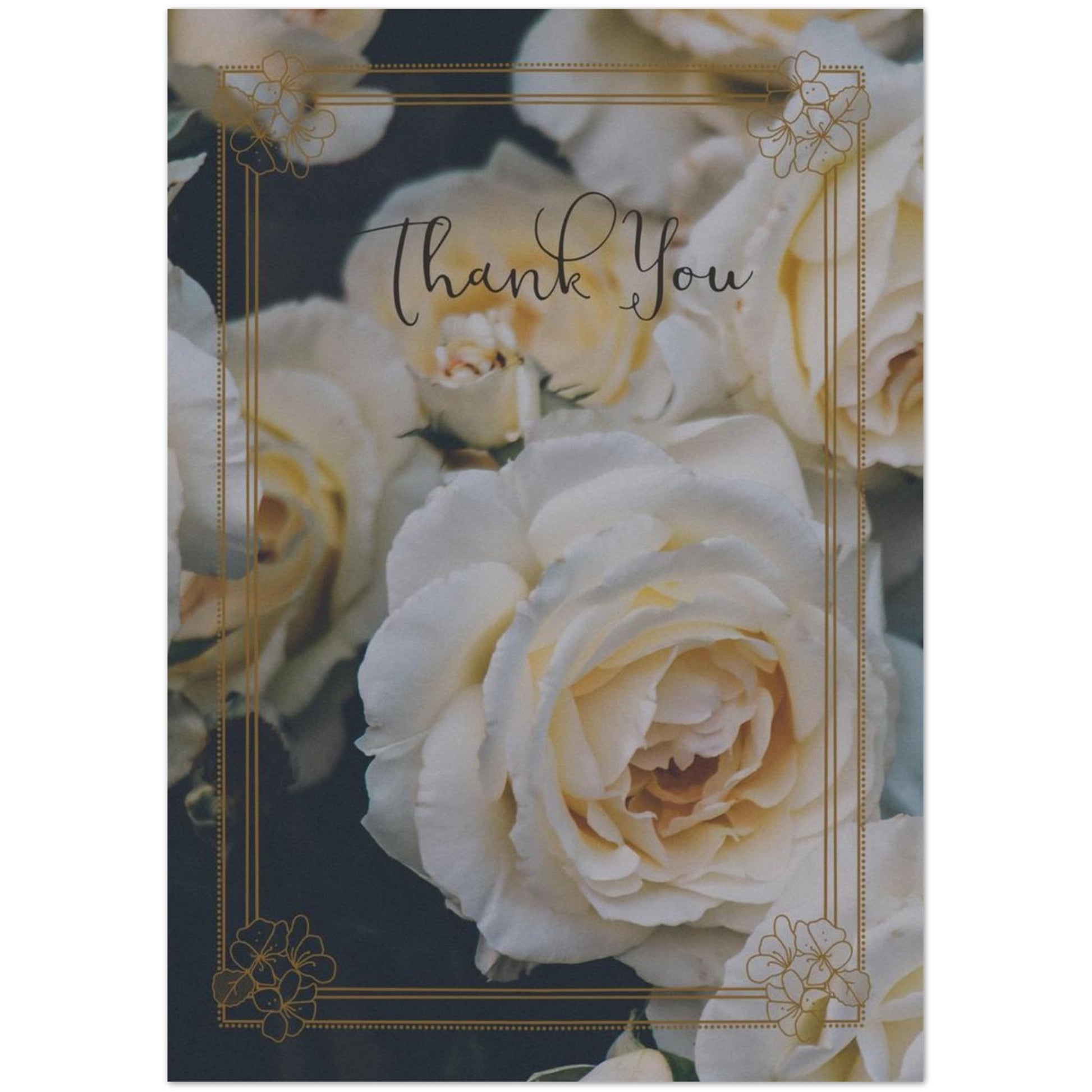 ff529d51-e555-44ca-a7fc-a1809bf4b480